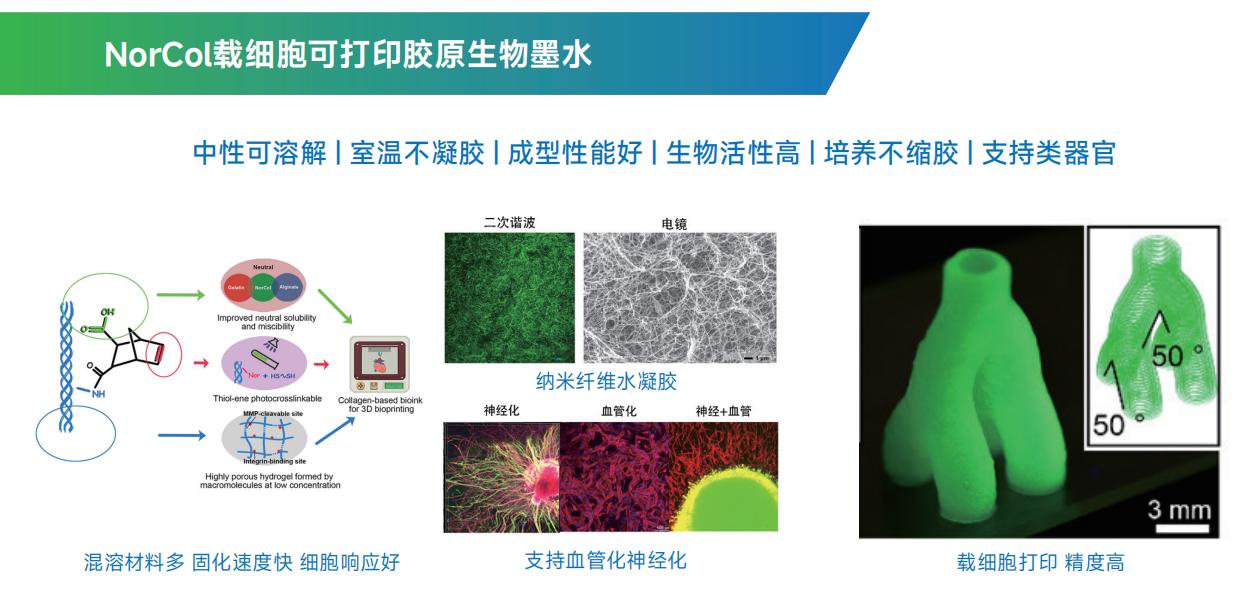 NorCol 胶原生物墨水